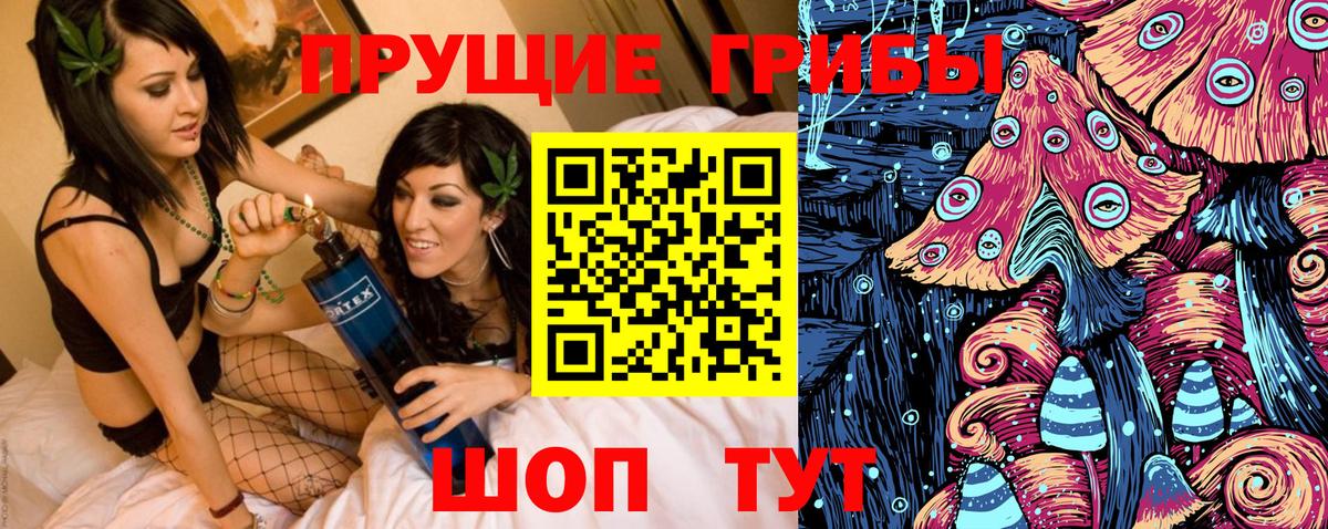 купить  цена  Псилоцибиновые грибы Psilocybine cubensis  Вход с VPN  Люберцы 