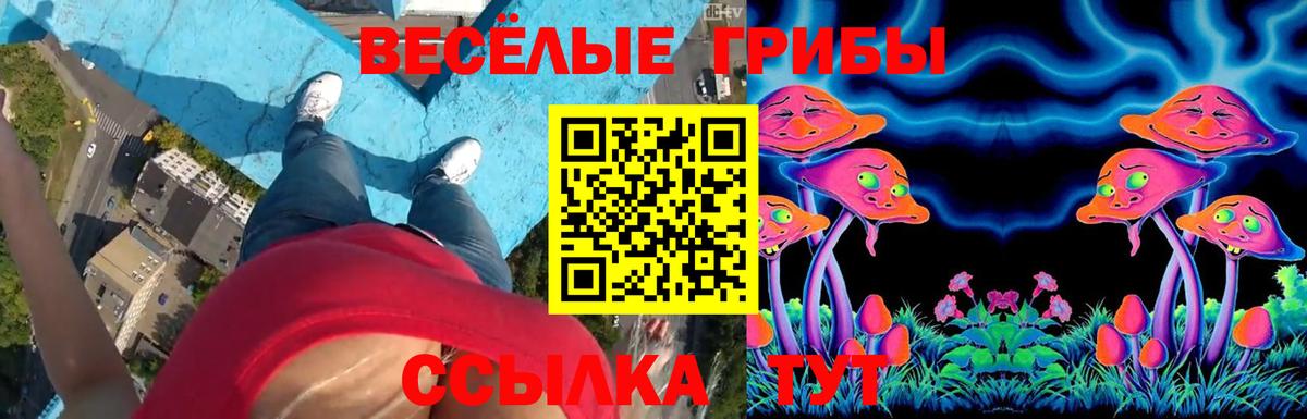 Псилоцибиновые грибы мицелий Люберцы